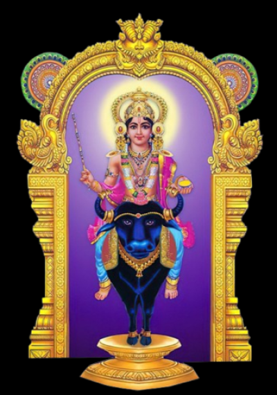 vishnumaya image